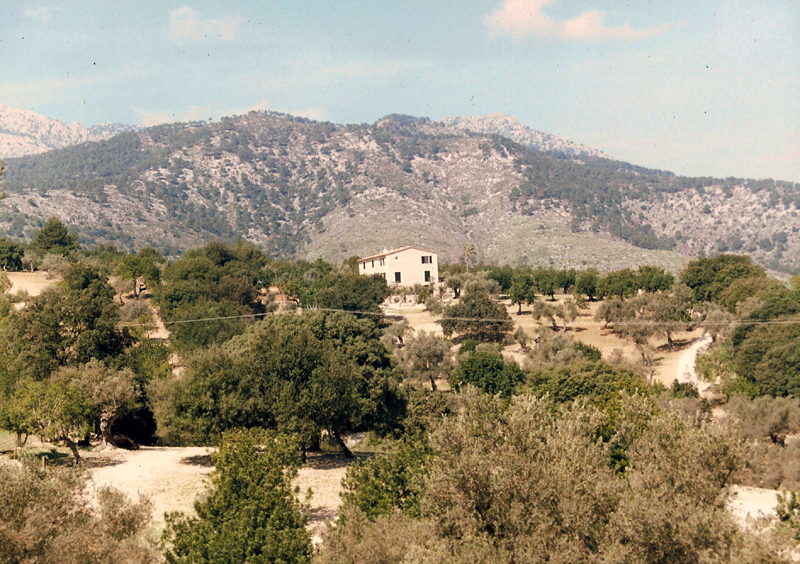 Son Cok house-featured